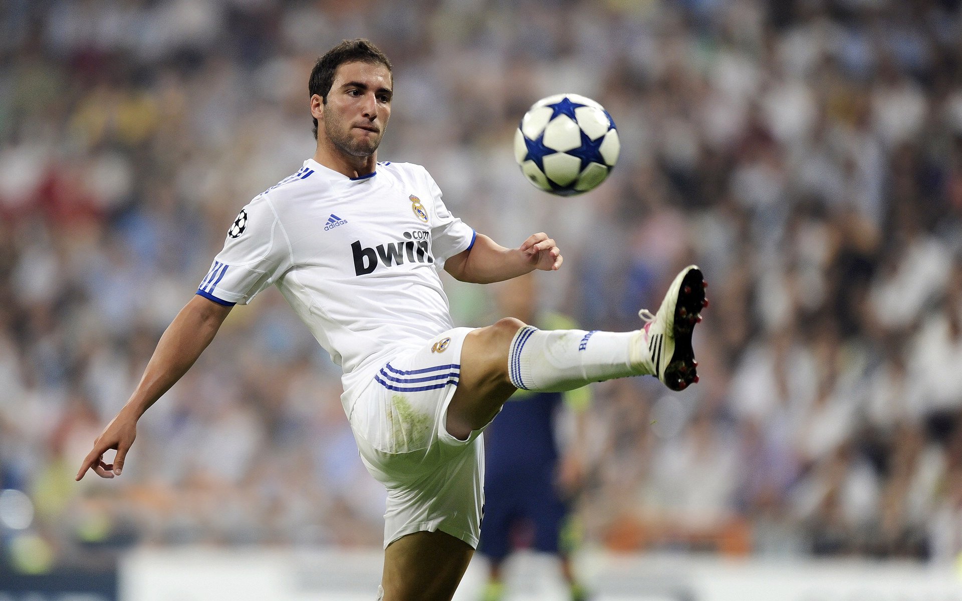 克罗地亚马术协会与非洲马术协会开展技术援助项目，提升当地水平。