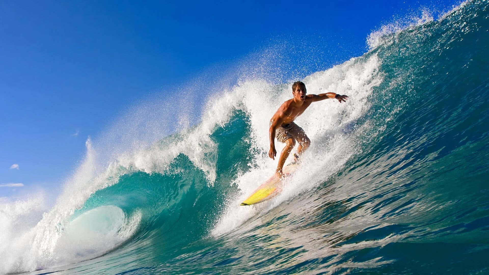 公牛主帅参加人工智能与体育高峰论坛，公牛队创始人